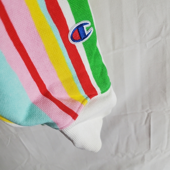 Champion Sweater Women's Medium Susan Alexandra Watermelon Reverse Weave Hoodie. - Picture 4 of 6